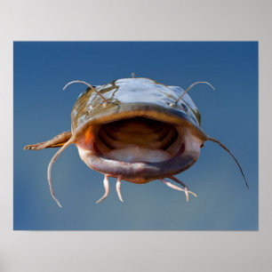 Pôster Pesca grande da boca