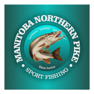 Pôster Pesca Manitoba Pike