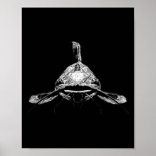 Poster Pescador de Bagre Pescaria de Bagre Bagre Peixe Pe