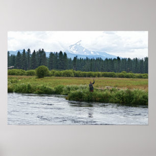 Poster Pescador de mosca no rio Metolius, Oregon