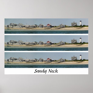 Poster Pescoço de Sandy