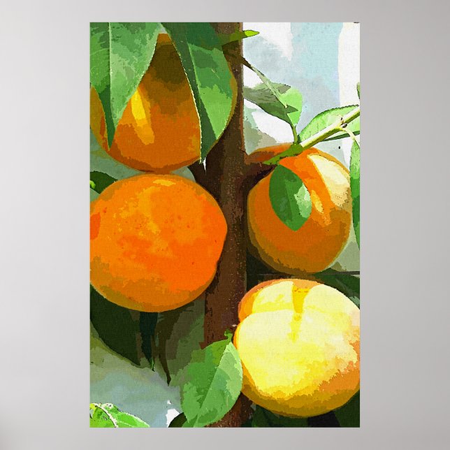 POSTER PÊSSEGOS (Frente)