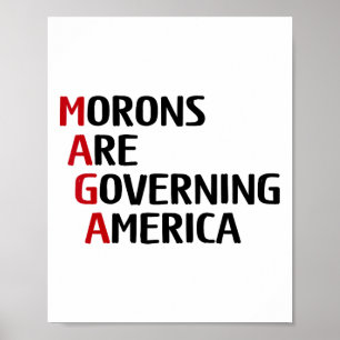 Poster Pessoas Idiotas Engraçadas Estão Governando a Amér