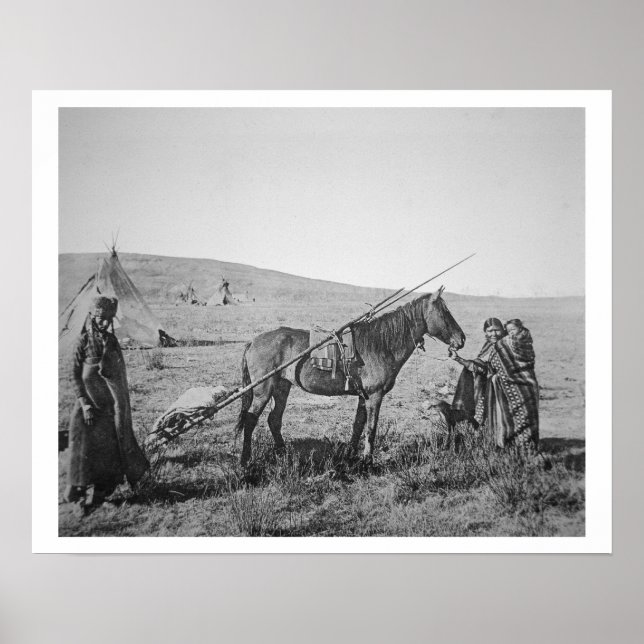 Pôster Pessoas nativas americanas de árvores ocidentais d (Frente)