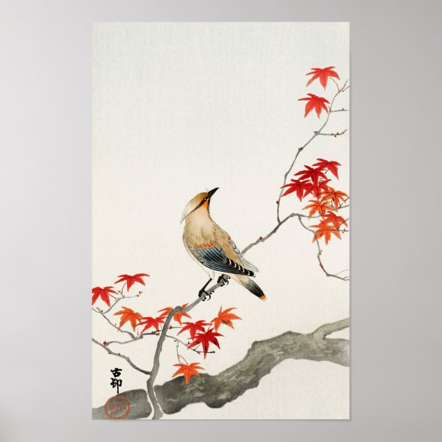 Poster Peste de Peste em Maple por Ohara Koson (Frente)
