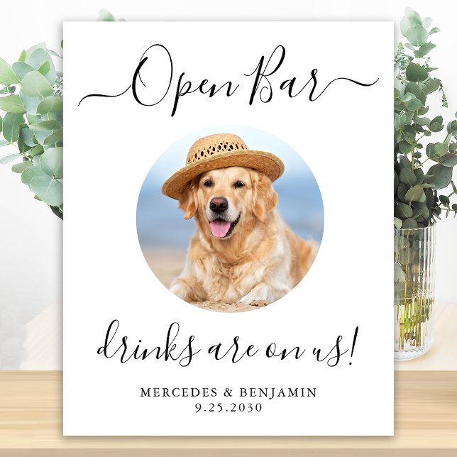 Poster Pet Dog Wedding Open Bar Bebidas Personalizadas Em (Criador carregado)