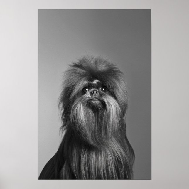 Poster Pet Grooming Salon Boutique Affenpinscher Retrato (Frente)