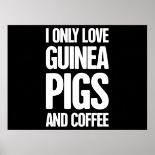 Poster Pet Guiné Pig Guiné Proprietário de Porcos