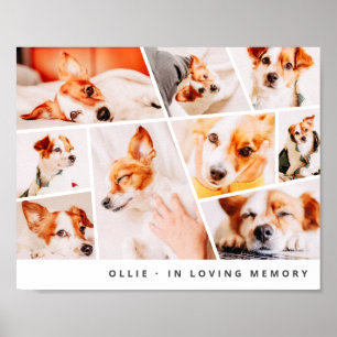 Poster Pet Memorial Modern Simple Chic 9 Collage
