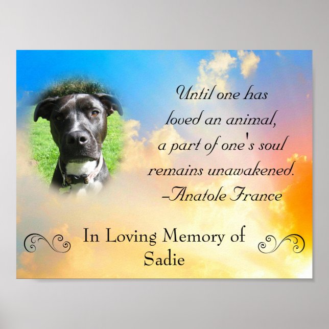 Poster Pet Memorial - Pet Loss Cote (Frente)