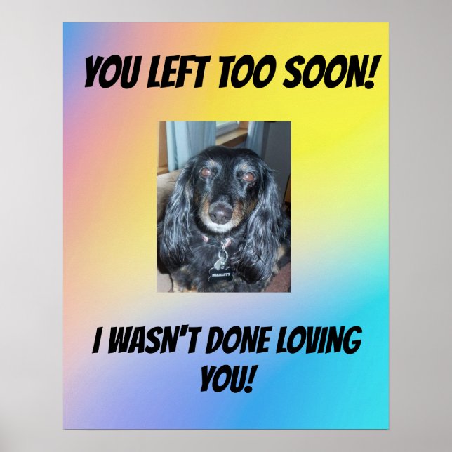 Poster Pet Memorial Você Deixou Muito Em Breve 1 Foto (Frente)