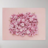 PETAIS DE PINCO E FLOR BRANCO