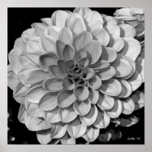 Poster Petal