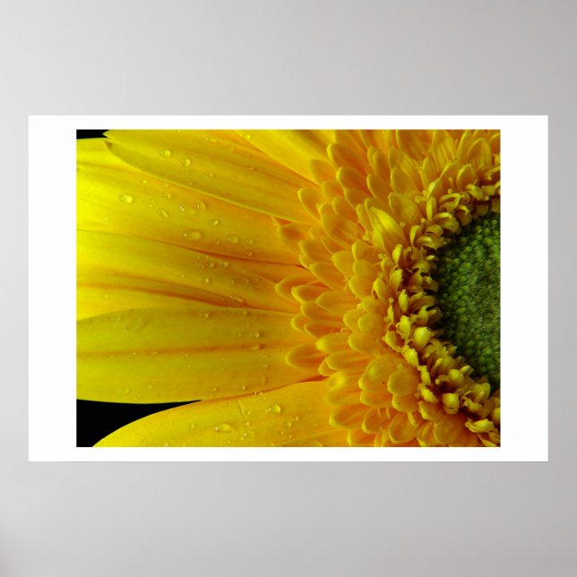 Poster Pétalas Amarelas (Frente)