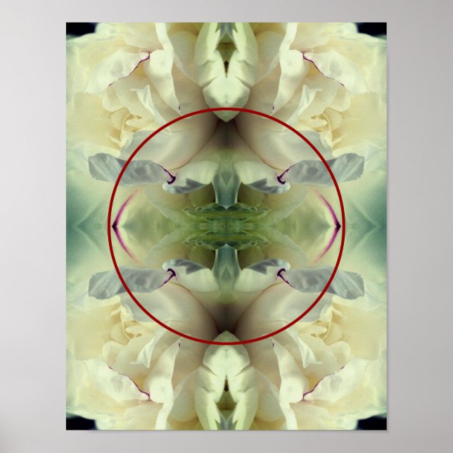 Poster Pétalas de Flores Brancas Criam sua própria foto (Frente)