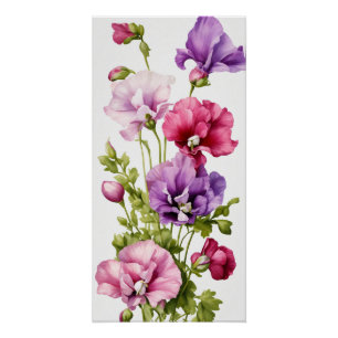 Pôster Pétalas de Pastel: Flor de Ervilha Doce Estilizado