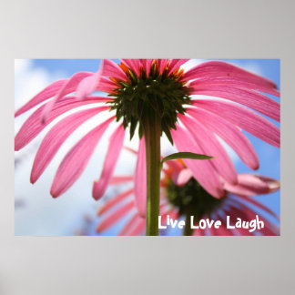 Pôster Pétalas de Rosa