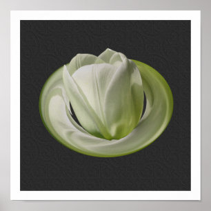 Pôster Pétalas de Tulipa Branca Arte Floral