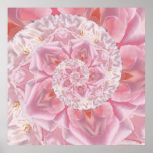 Pétalas Rosa Rosa Rosa Rosa Rosa Espiral do Amor T