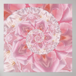 Poster Pétalas Rosa Rosa Rosa Rosa Rosa Espiral do Amor T