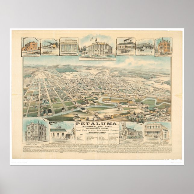 Pôster Petaluma, CA. (1314A) (Frente)