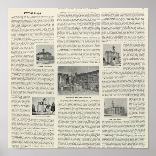 Poster Petaluma, Califórnia (Frente)