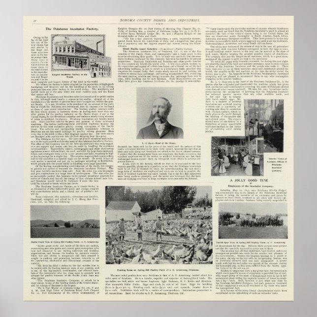 Poster Petaluma Incubator Fatory, Califórnia (Frente)