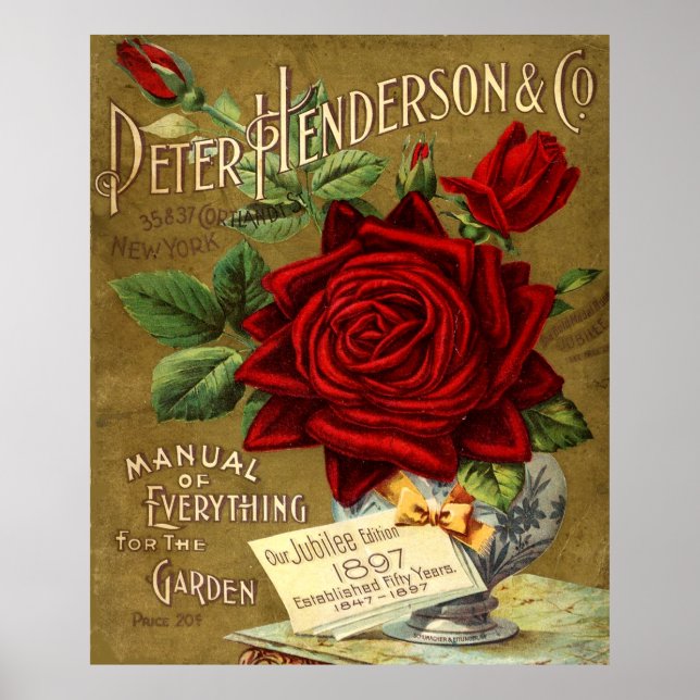 Poster Peter Henderson & Co. Garden Catalogue Ad (Frente)