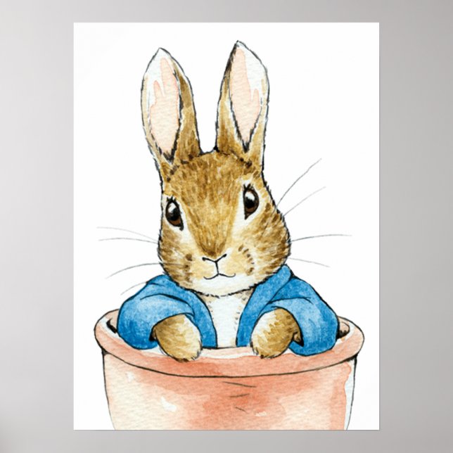 Poster Peter o Coelho Sentado no Vaso de Planta      (Frente)
