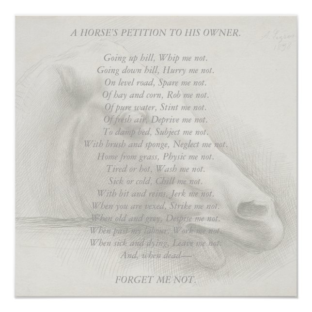 Pôster Petição do Poema de Retrato Cavalo ao Proprietário (Frente)