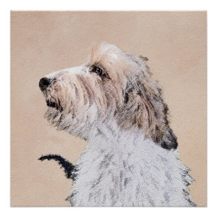 Pôster Petit Basset Griffon Vendéen - Pintura de cães