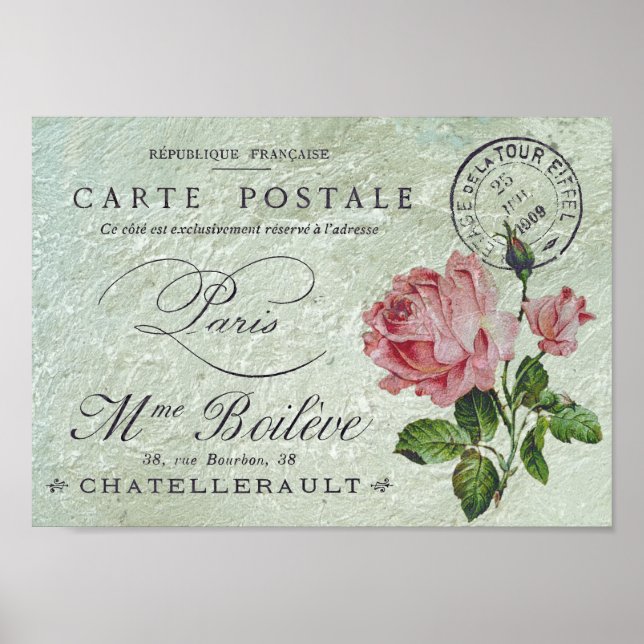 Poster Petite Rose Confection (Frente)