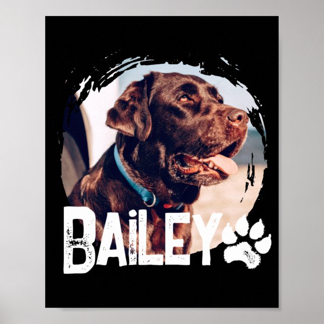 Poster Pets Simple Modern Cool Nge Name And Photo  (Frente)