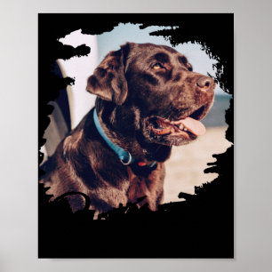 Poster Pets Simples Nome E Foto De Tigrigrafia Moderna E 