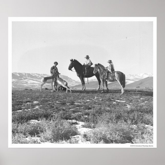 Poster Petting Antílopes. (Frente)