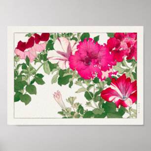 Poster Petunia por Tanigami Konan