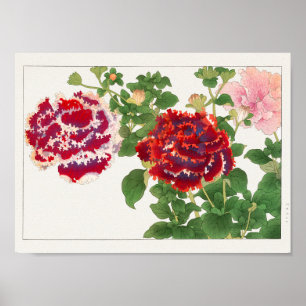 Poster Petunia por Tanigami Konan