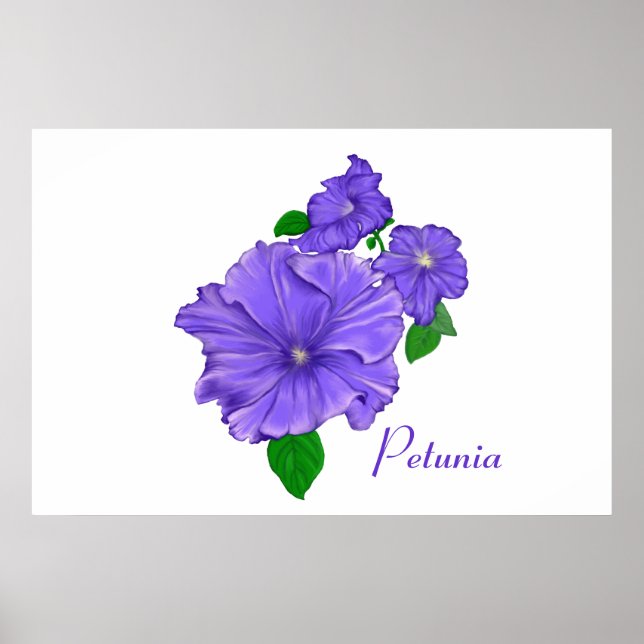 Pôster Petunias roxas (Frente)