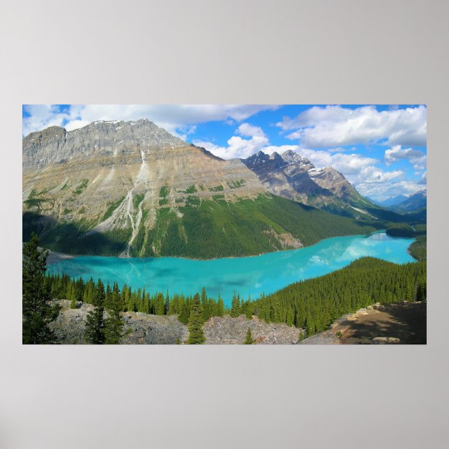 Poster Peyto Lake in Banff National Park Alberta Canada (Frente)
