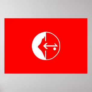Pôster Pflp, bandeira política de Colômbia