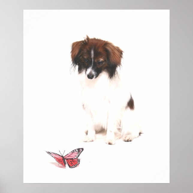 Pôster Phalene Papillon com borboleta (Frente)