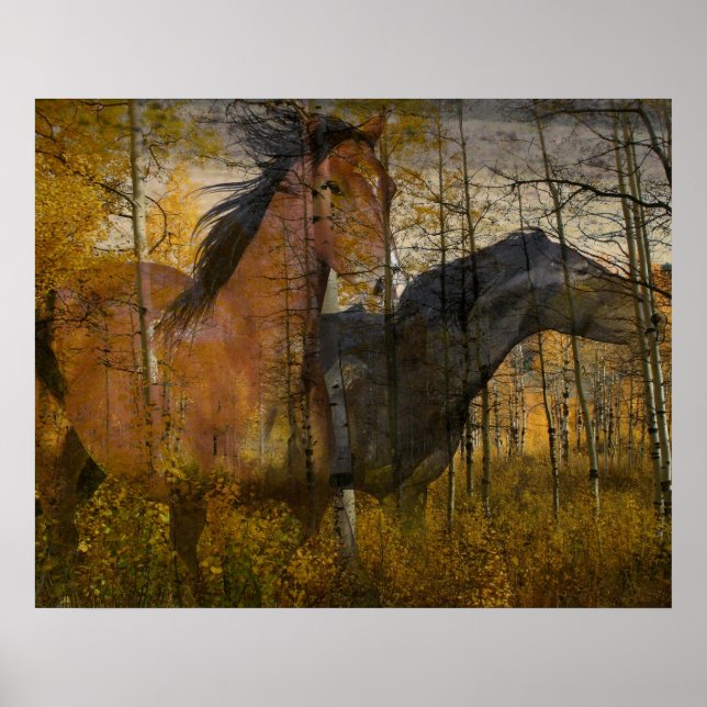 Pôster Phantom Grove (Frente)