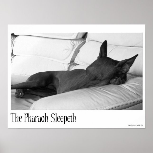 Poster Pharaoh Hound | Faroah Sleepeth (Frente)