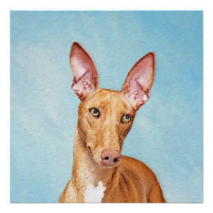 Pôster Pharaoh Hound Painting - Arte Cachorra Original