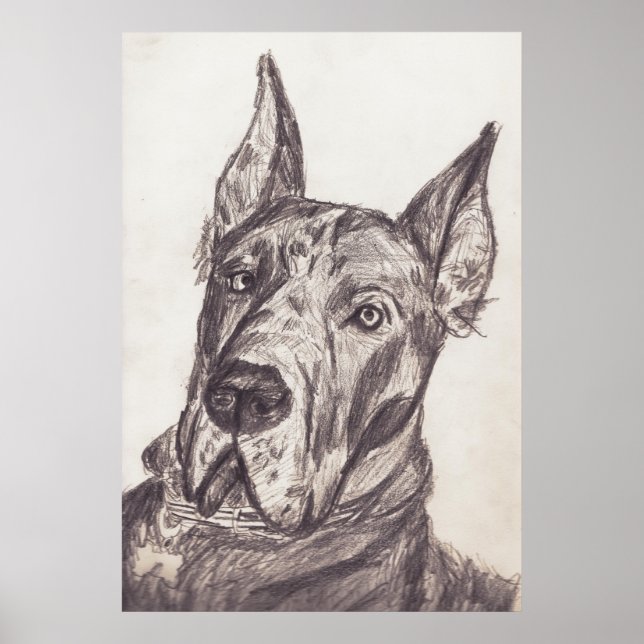 Poster pharoah sk3 str (Frente)