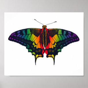 Poster Philadelphia Rainbow Prim Flag Swallowtail