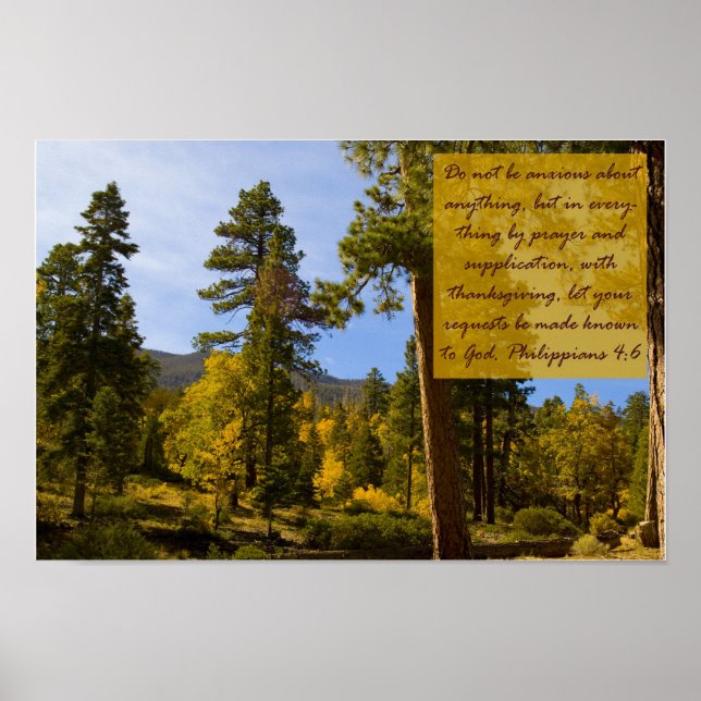 Poster Philippians 4:6 (Frente)