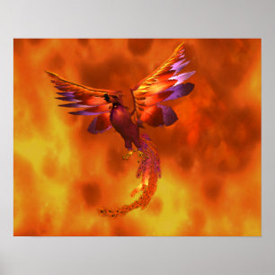 Pôster Phoenix