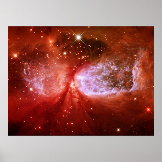 Pôster Phoenix (Frente)