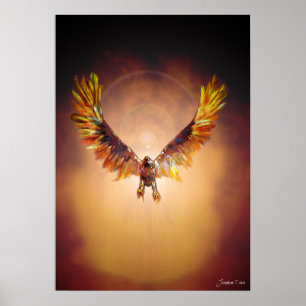 Pôster Phoenix